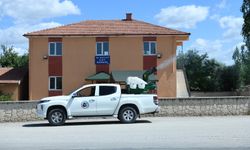 Kahramankazan'da haşereyle mücadele aralıksız sürüyor!