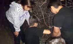 Dikenli tellerde mahsur kalan kirpiyi çocuklar kurtardı!