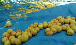 Malatya’da belediyelerin gelir grupları açıklandı