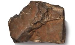 Mars’tan gelen dev meteor 5,3 Milyon dolara satıldı