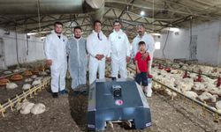 Tavuk ölümleri duracak: BroBot kümeslere girdi