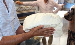Siirt peynirine ilgi giderek artıyor!