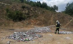 Ormanda bulunan sprey kutuları korkuttu