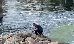 Balık ölümlerinin nedeni düşük oksijen ve sıcaklık artışı!