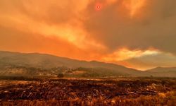 California’daki orman yangınında 72 bin dönüm kül oldu!