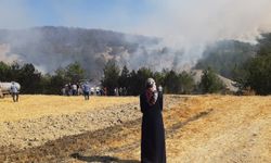 Bolu’daki orman yangınına 5.saatte müdahale devam ediyor