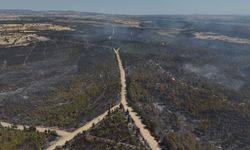 Edirne’de orman yangını havadan görüntülendi