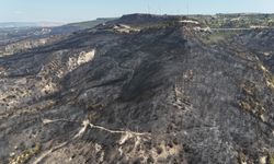 Çanakkale’de yangın kontrol atına alındı