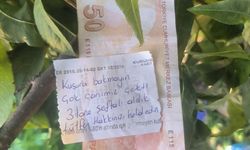Şeftali bahçesindeki not “insanlık ölmemiş” dedirtti