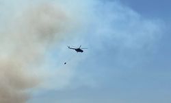 Kocaeli’de orman yangını: Havadan ve karadan müdahale