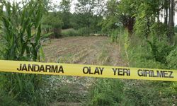 Düzce’de mısır tarlasından insan kemikleri çıktı