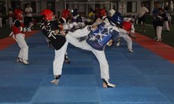 Taekwondo şenliğinde minikler hünerlerini sergiledi