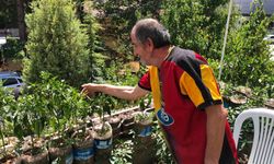 Eskişehirli esnaf iş yerinin balkonunu sebze bahçesine çevirdi
