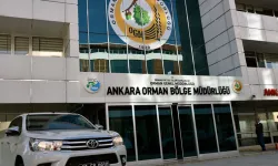 Ankara Orman Bölge Müdürlüğü