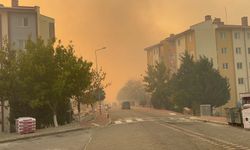 Çanakkale’de orman yangını yerleşim alanlarını tehdit ediyor