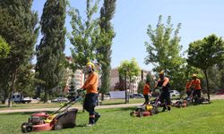 Çankaya Belediyesi’nden yaz aylarında yoğun park bakımı