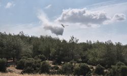 Edirne Keşan’da orman yangını: Uçak ve helikopterlerle müdahale!