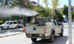 Keçiören’de 51 mahallede haşere ilaçlama başladı