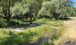 Kızılcahamam’da su kaynakları piknik atıklarıyla tehlike altında!
