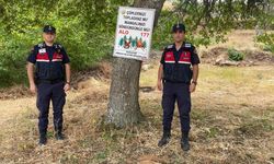 Sinop’ta ormanlara sıkı koruma: İzinsiz ateşe 26 bin TL ceza!