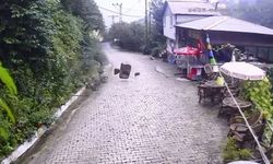 Artvin heyelan: Facianın eşiğinden dönüldü!