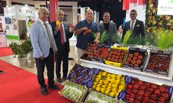Fresh Antalya’ya uluslararası ilgi!