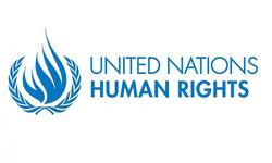 BM: Kuzey Kore’de baskı ve izolasyon tarihinin zirvesinde