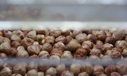 Fındık fiyatları bayram öncesi 240 liraya kadar düştü