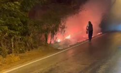 Aydın'da orman yangını alarmı: Vatandaşlara kritik uyarı