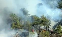 Muğla Yatağan'daki yangın ormanlık alana sıçradı