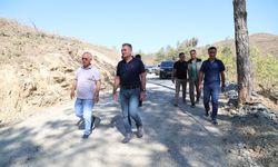Muğla orman yollarında güvenlik ve ulaşım iyileştirmeleri yapılıyor!