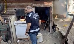 Kemal Sunal'ın filmindeki define kazısı gerçek oldu!
