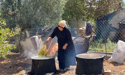 Şanlıurfa’da üzüm hasadı başladı, kazanlar pekmez için kaynıyor!