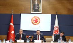 TBMM Dışişleri Komisyonu Karadeniz'deki gerilime dikkat çekti