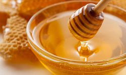 Araban’da doğal ve organik bal yoğun talep görüyor
