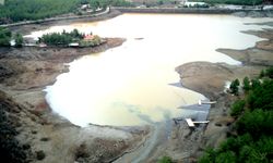 Muğla'da şiddetli yağışlar su kaynaklarını canlandırdı!