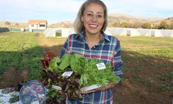 Köyüne döndü, 24 ülkeden tohumla üretime başladı