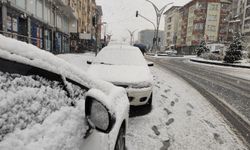 Hakkari'ye mevsimin ilk karı yağdı