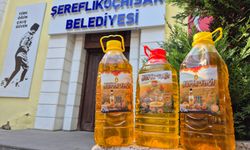 Şereflikoçhisar’da Aspir yağı üretimi başladı