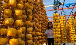 Manisa Alaşehir’de cennet hurması festivali başlıyor