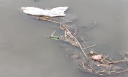 Kars Çayı’nda plastik ve evsel atıklar doğal yaşamı tehdit ediyor