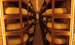 Kars Peynir Müzesi 2025’te rekor ziyaretçi sayısına ulaştı