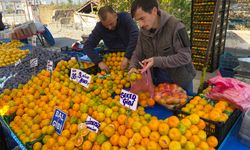 Mandalina tezgahların gözdesi oldu: Fiyatlar düştü