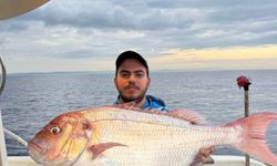 Gelibolu açıklarında 12 kiloluk mercan yakalandı