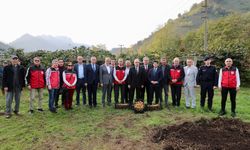 Fındıktan sonra kivi: Ordu’nun yeni gelir kaynağı