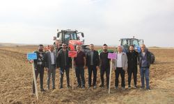 Sivas’ta beş farklı buğday tohumu ilk kez toprakla buluştu