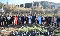 Mamak Belediyesi’nden Ekolojik Köy’de fidan dikimi