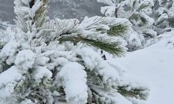 Muğla'da yüksek kesimler beyaza büründü