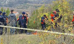 Defne toplamak için gittiği ormanda hayatını kaybetti