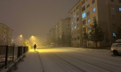 Van yoğun kar yağışıyla beyaza büründü